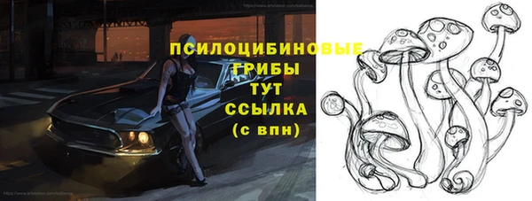 ALPHA-PVP Бугульма