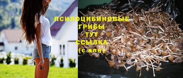 ALPHA-PVP Бугульма